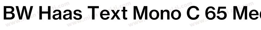BW Haas Text Mono C 65 Medium字体转换